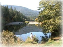 Forks Swimming Hole