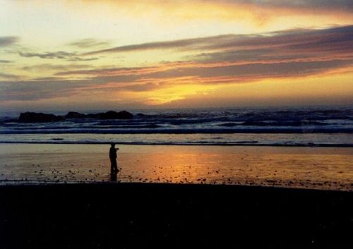 The Oregon Coast