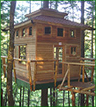 Vertical Horizons Treehouse Paradise
